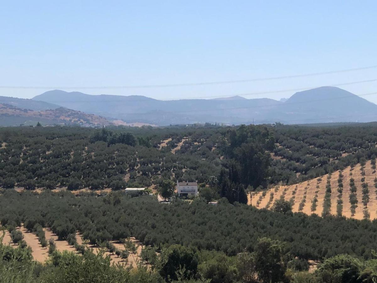 카브라 Cortijo Ribero 빌라 외부 사진